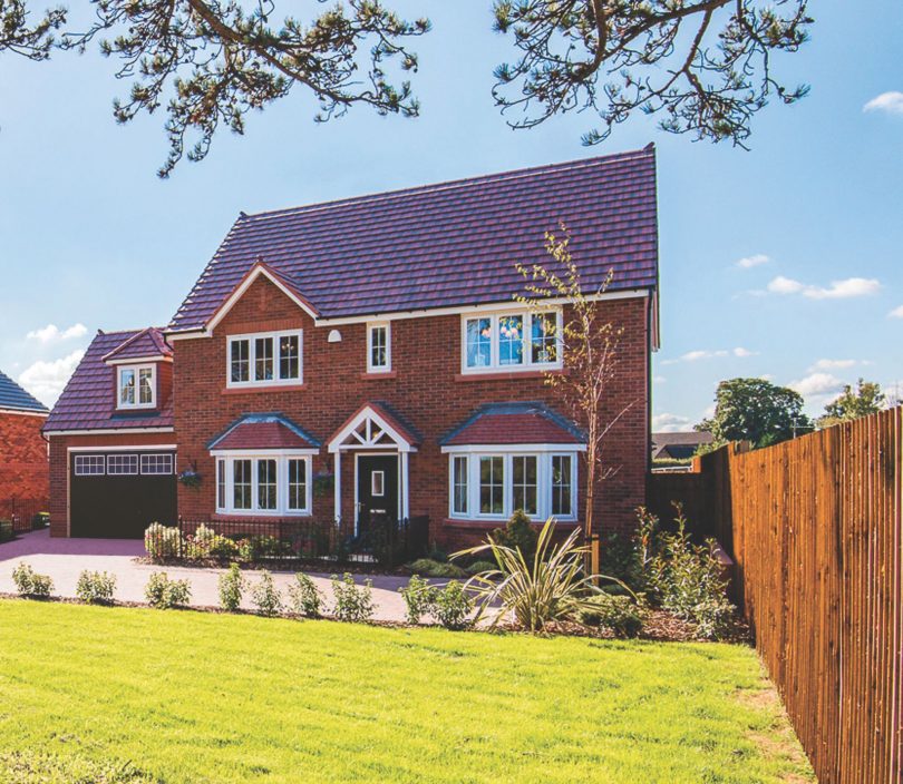 Demand fuels developers appeal for Flintshire Land Industry News