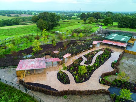 Chester Zoo Asiatic Lion Exhibit - Premier Construction